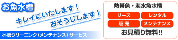 お魚水槽キレイにいたします!おそうじします!